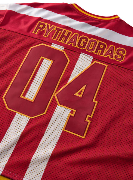 Dim Mak x One Piece - Pythagoras Jersey Crew